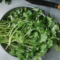 Close-up of frisch cilantro leaves for culinary use
