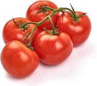 Traditionelle homestead tomatoes on the vine aus samen