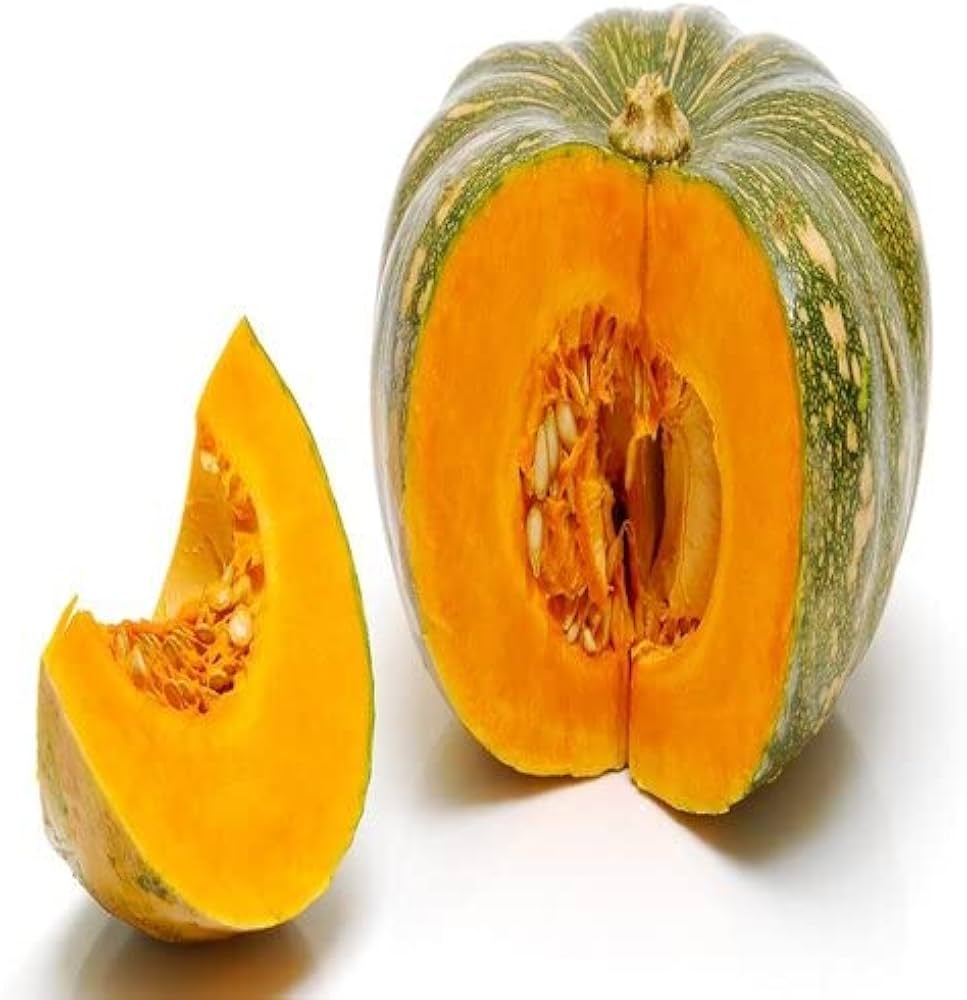 Traditionelle pumpkin samen für fall harvest