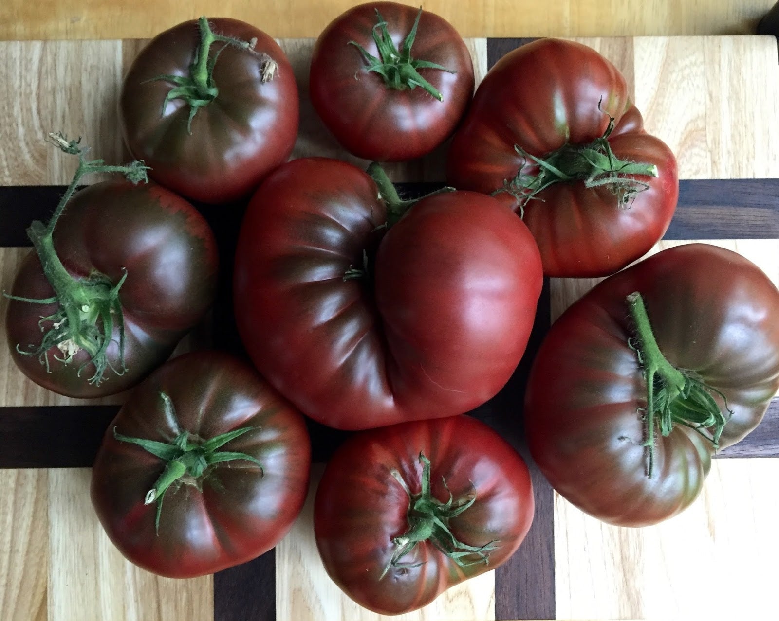 Fresh helle brown tomato samen für home aussaat