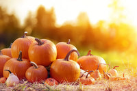 High yield pumpkin samen für successful gardening