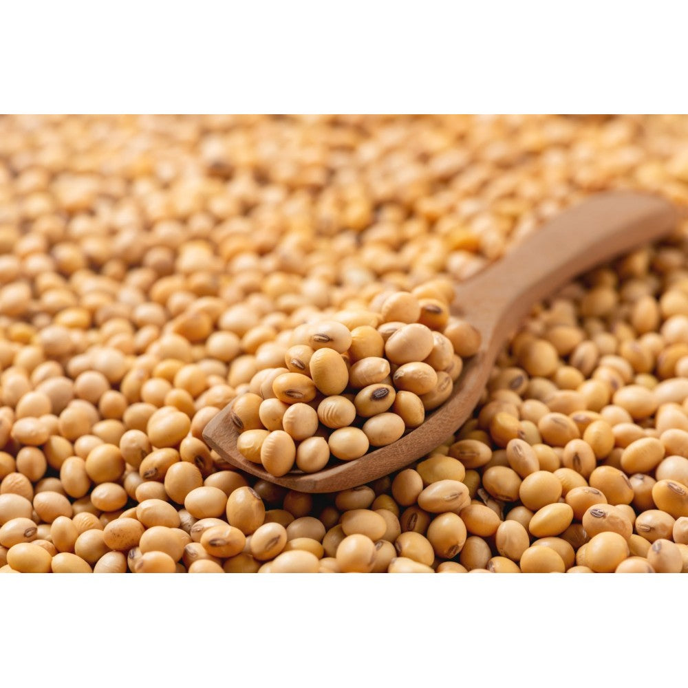High yield soybean samen für aussaat