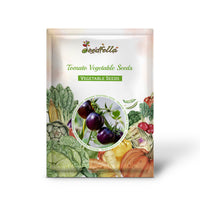 High yield violette tomato pflanzen producing große fruits