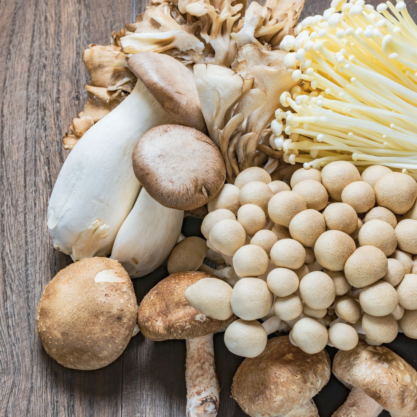 Home-gezogen mixed pilze aus non-gmo samen