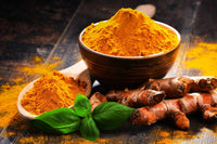 Zuhause herbal Garten with Turmeric Pflanzen
