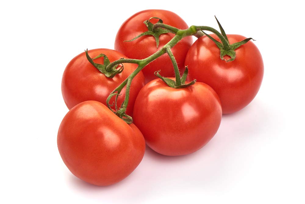 Homestead tomato pflanzen wachsend in garten