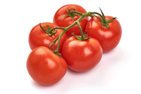 Homestead tomato pflanzen wachsend in garten