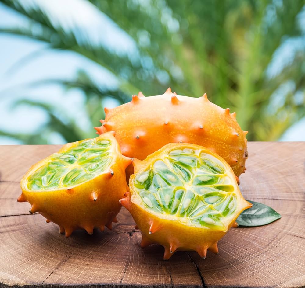 Spiky kiwano fruit gezogen aus horned cucumber kiwano samen