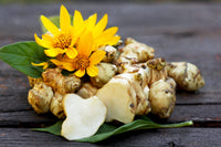 Jerusalem Artichoke (Sunchoke) Helianthus Tuberosus Gelb Sonnenblume Root Vegetable Samen