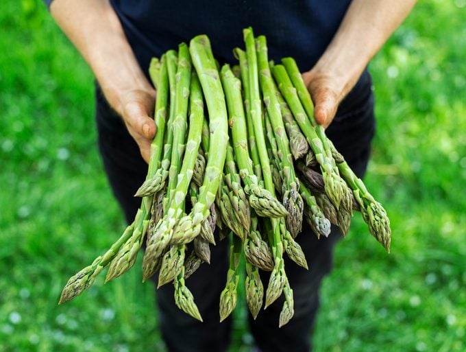 Green Asparagus Gemüsesamen for für den Hausgarten