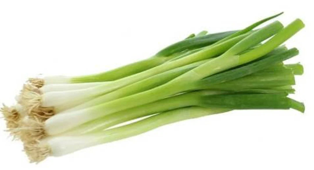 Scallion Gemüsesamen  Perfect zum Pflanzen
