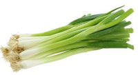 Scallion Gemüsesamen  Perfect zum Pflanzen