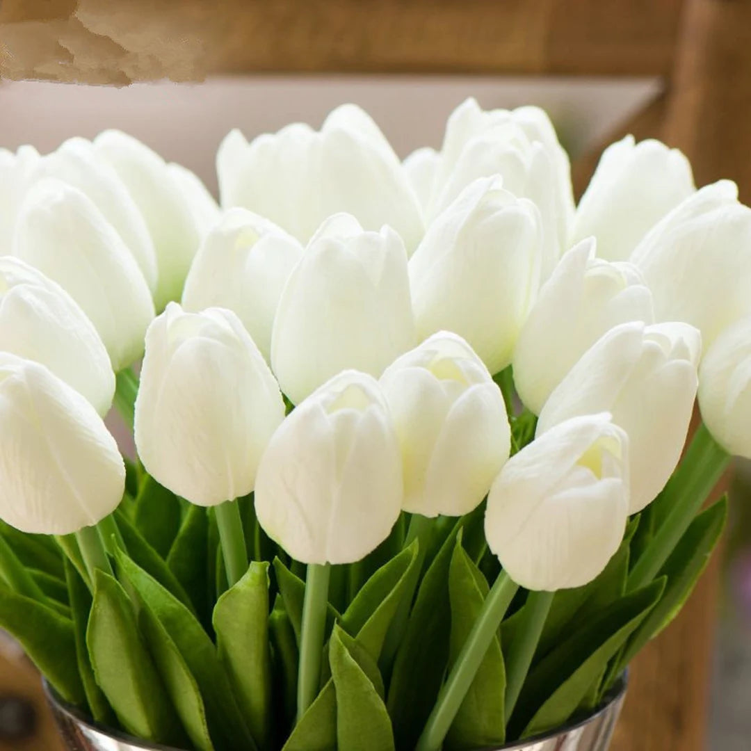 Tulpe Blume Weiß Kollektion Samen zur Aussaat ideal elegant und Serene Garten Blüten