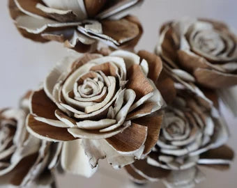 Weiß und Braun Rose Blumensamen zur Aussaat – Halbschatten verträglich – Traditionssorte & ohne Gentechnik Samen Hausgarten