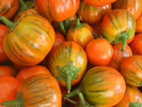 Türkische orangefarbene Aubergine Samen für einfaches Anpflanzen