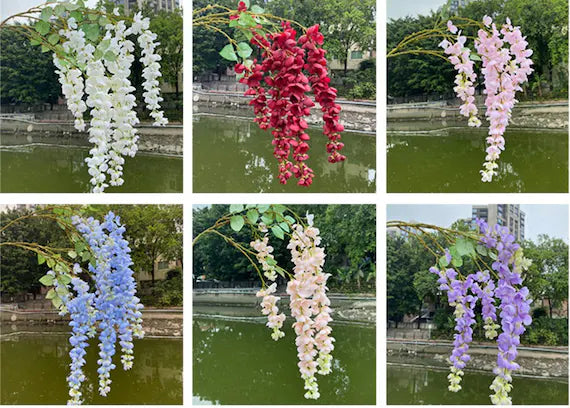 MultiColored Blauregen Blumensamen zur Aussaat Landhaus Garten wichtig Traditionssorte & ohne Gentechnik Samen Hausgarten
