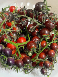 Mixed Blauberries Tomate Samen zum Pflanzen