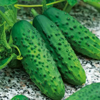 Octopus Cucumber Gemüse Samen zum Pflanzen