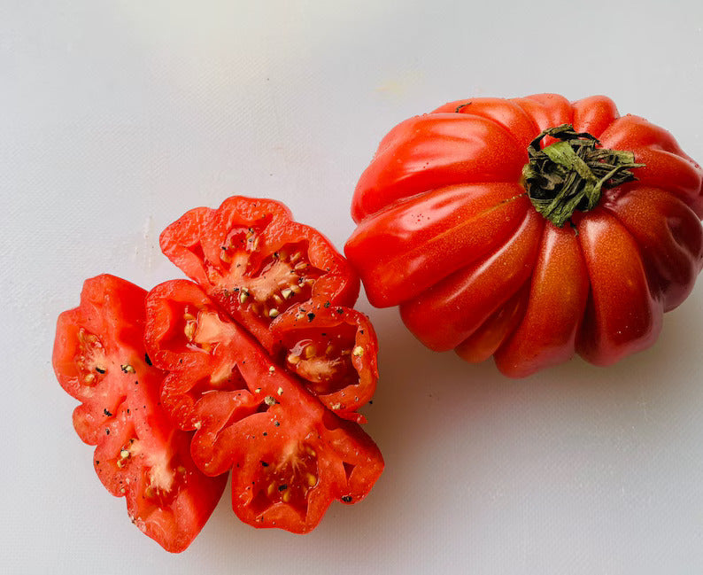 Zapotec tomato gemüse samen aussaat pack