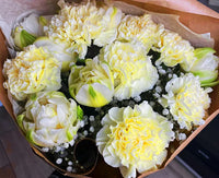 Creme Nelke Blumensamen zur Aussaat saisonal Dauerblüher Traditionssorte & ohne Gentechnik Samen Hausgarten