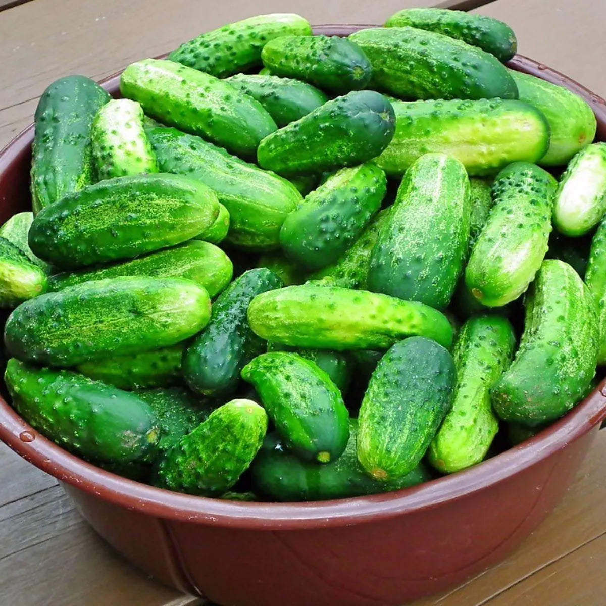 Octopus Cucumber Gemüse Samen zum Pflanzen