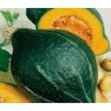 Green Hubbard Gemüse Samen zum Pflanzen