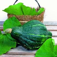 Semillas de verduras Hubbard verdes para plantar