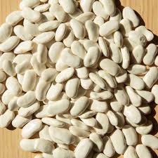 Weiß Tarbais Bean Samen for Garden Planting
