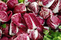 Rot Radicchio Gemüsesamen - Easy Planting for Home Gardens