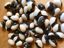 Schwarz & Weiß Troot Bean Gemüse Planting Samen