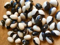 Schwarz & Weiß Troot Bean Gemüse Planting Samen