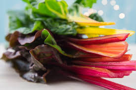 Rainbow Chard Gemüsesamen für einfache Aussaat