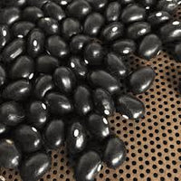 Schwarz Turtle Bean Samen zum Pflanzen  Premium Gemüsesamen