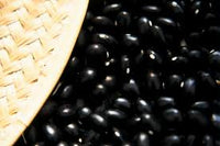 Schwarz Turtle Bean Samen zum Pflanzen  Premium Gemüsesamen