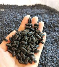 Schwarz Coco Bean Samen zum Pflanzen