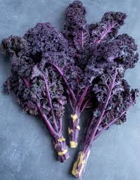 Rot Veins Scarlet Kale Samen zum Pflanzen