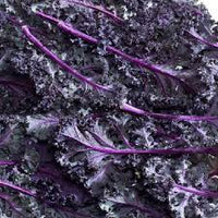 Rot Veins Scarlet Kale Samen zum Pflanzen