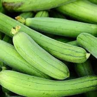 Sponge Gourd Gemüsesamen für einfache Aussaat