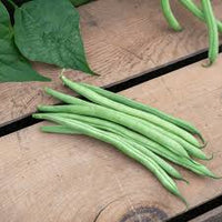 Green Lake Bean Planting Samen