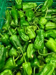 Green Padron Gemüse Samen zum Pflanzen