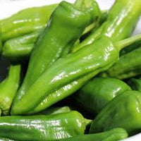Green Padron Gemüse Samen zum Pflanzen