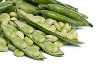 Weiß Marrow Bean Samen zum Pflanzen - High-Quality Gemüsesamen