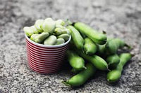 Weiß Marrow Bean Samen zum Pflanzen - High-Quality Gemüsesamen