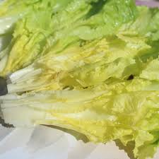 Green Gelb Endive Samen zum Pflanzen  Gemüse Garden Starter