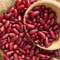 Rot Pole Kidney Bean Gemüsesamen für einfache Aussaat