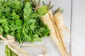 Hamburg Parsley Gemüsesamen für einfache Aussaat