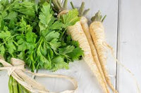 Hamburg Parsley Gemüsesamen für einfache Aussaat