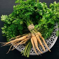 Hamburg Parsley Gemüsesamen für einfache Aussaat