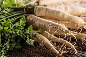 Hamburg Parsley Gemüsesamen für einfache Aussaat