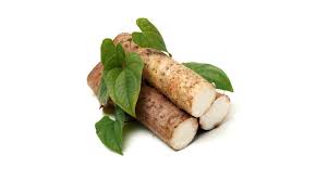 Yam Gemüsesamen for Home Gardening